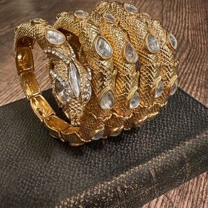 Eye Candy Snake Wrap Bracelet